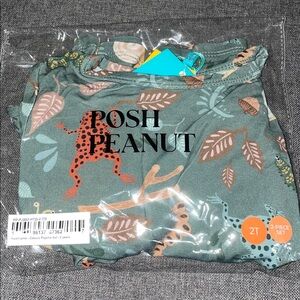 Posh Peanut 2 Piece Pjs- Pants and Long Sleeve Top